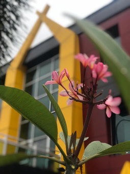 Dlira Syariah Hotel, Pekanbaru, Indonesia