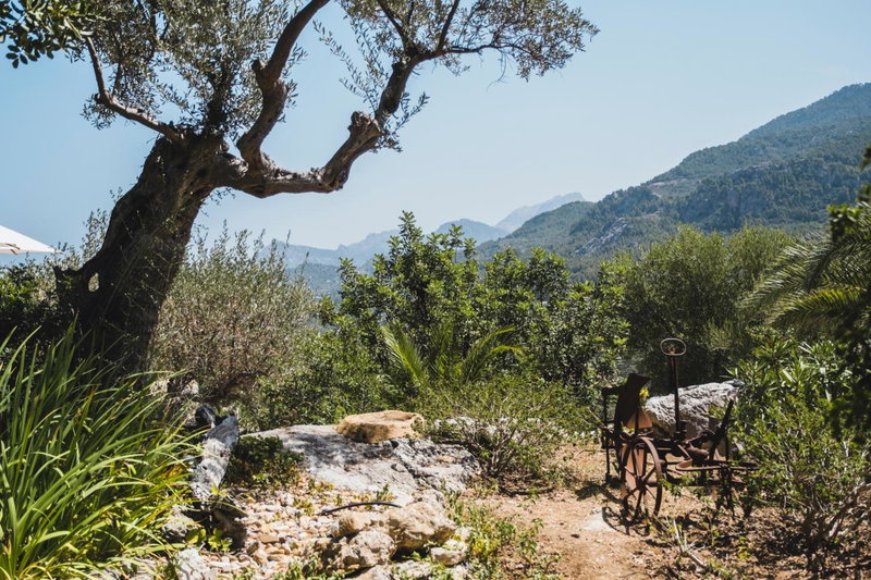 Sa Pedrissa - Adults Only, Deia, Spain
