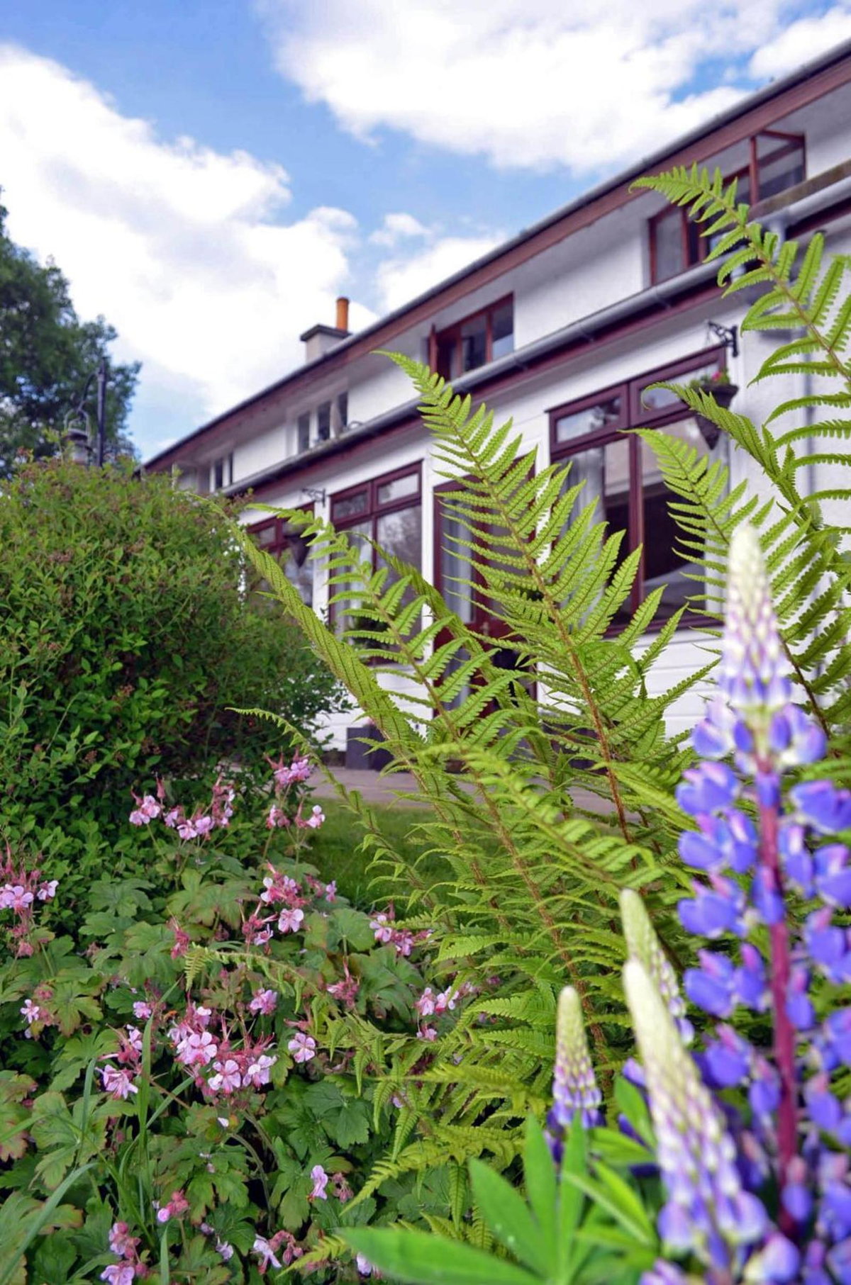 Ardlogie Guest House, United Kingdom