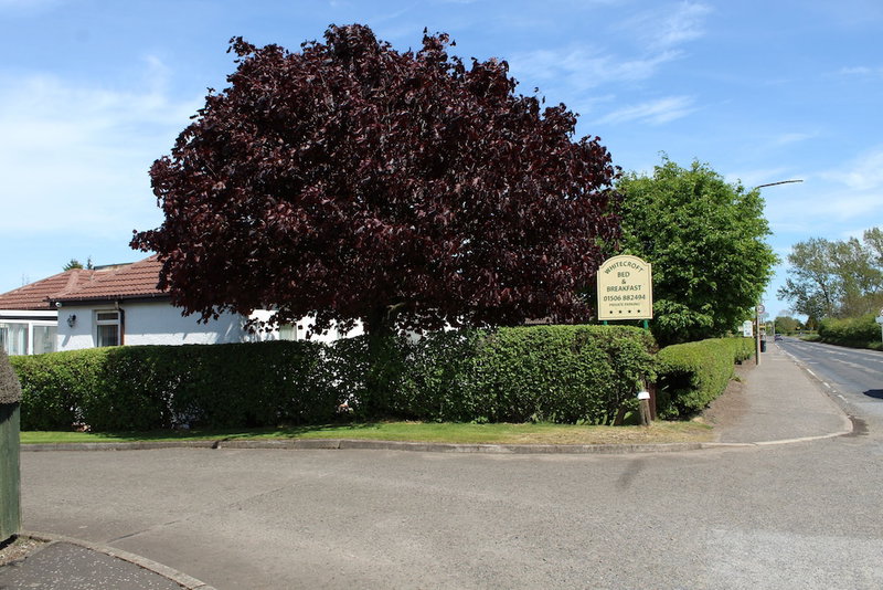Whitecroft Bed and Breakfast, Livingston, United Kingdom