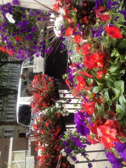 Avon Hotel, London, United Kingdom