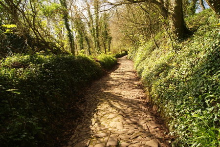 The Old Smithy Bed & Breakfast, Clovelly, United Kingdom