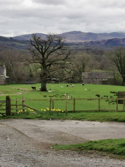 Rainors farm B&B, Gosforth, United Kingdom