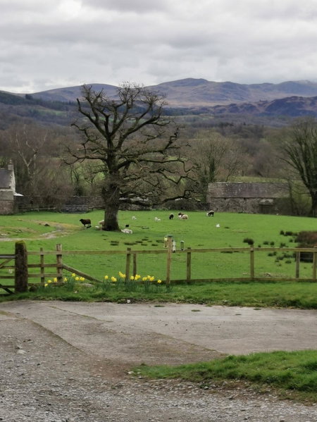 Rainors farm B&B, Gosforth, United Kingdom