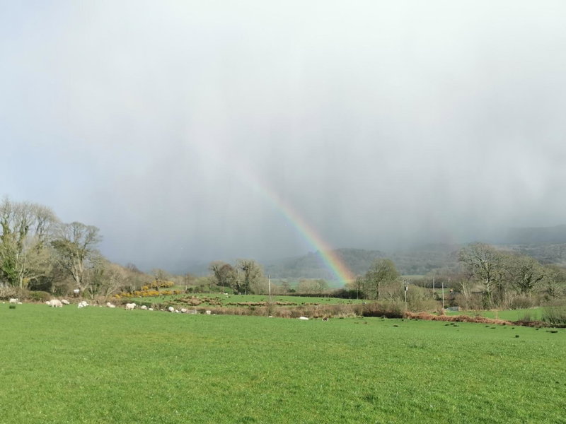 Rainors farm B&B, Gosforth, United Kingdom