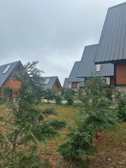 Of Çamlık Bungalov, Of, Turkey