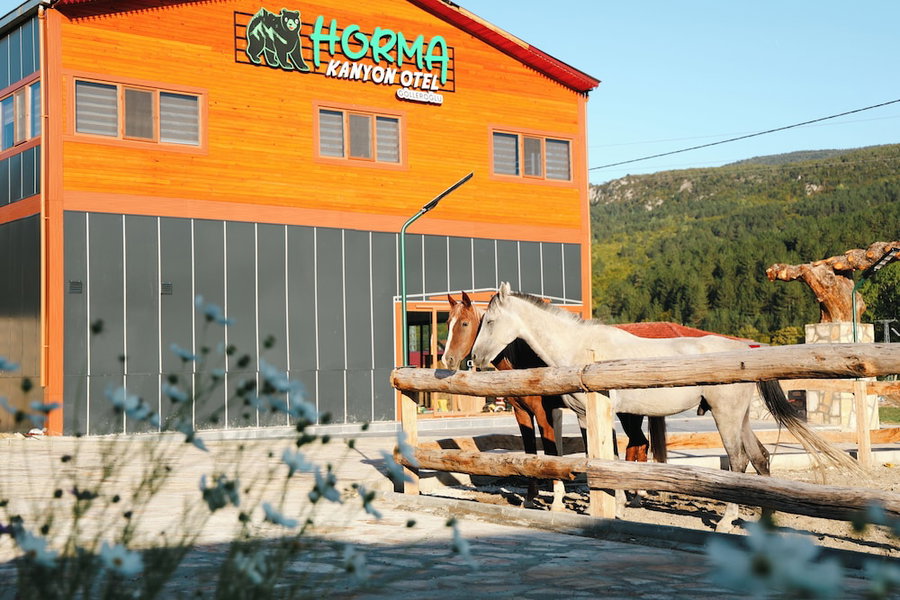 Horma Kanyon Otel, Kastamonu, Turkey