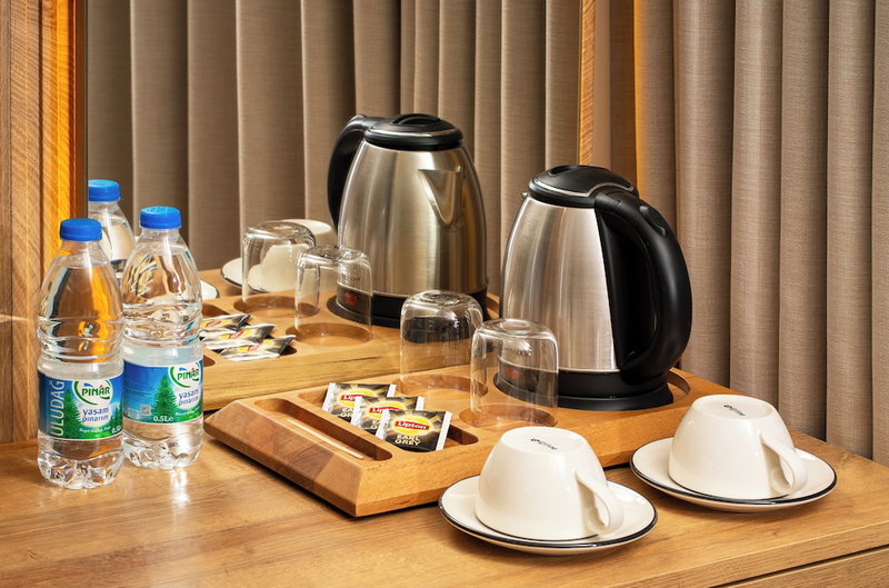 Premier Lounge Hotel, Tuzla, Turkey