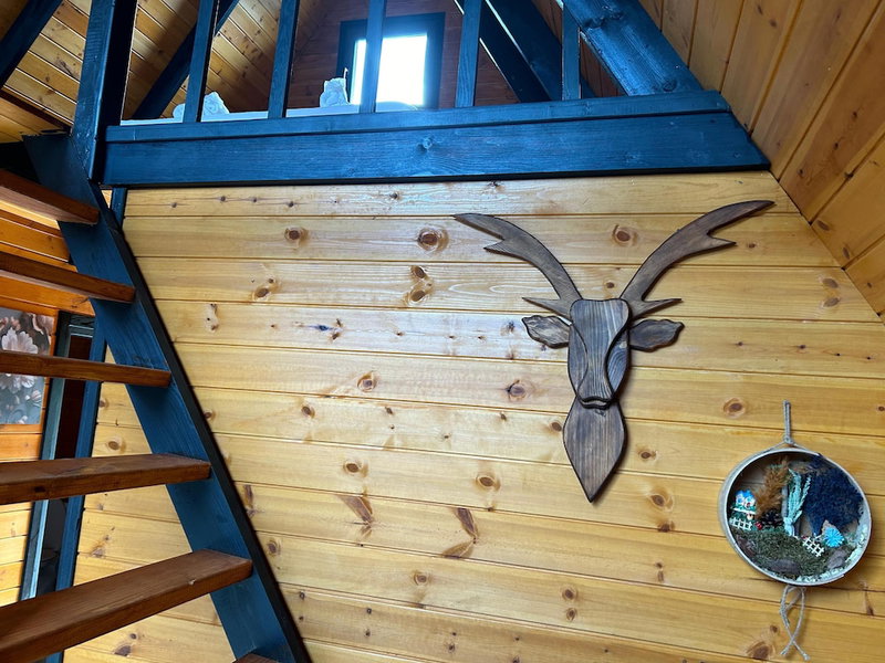 Mi̇ra Bungalov, Trabzon, Turkey