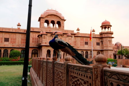 The Lallgarh Palace - A Heritage Hotel, Bikaner, India