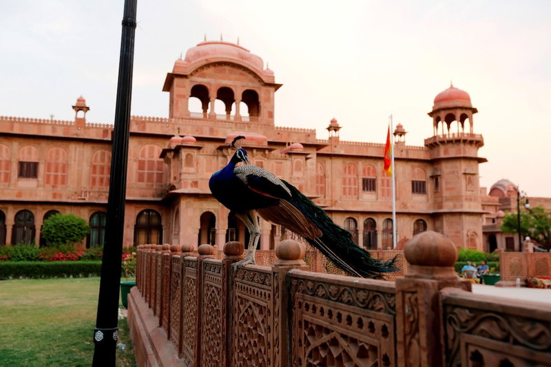 The Lallgarh Palace - A Heritage Hotel, Bikaner, India