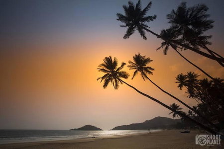 Palolem Paradise Guest House, Palolem, India