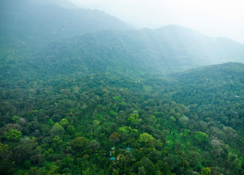 Blue Bells Resort By Maat Hotels, Munnar, India