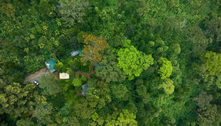 Blue Bells Resort By Maat Hotels, Munnar, India