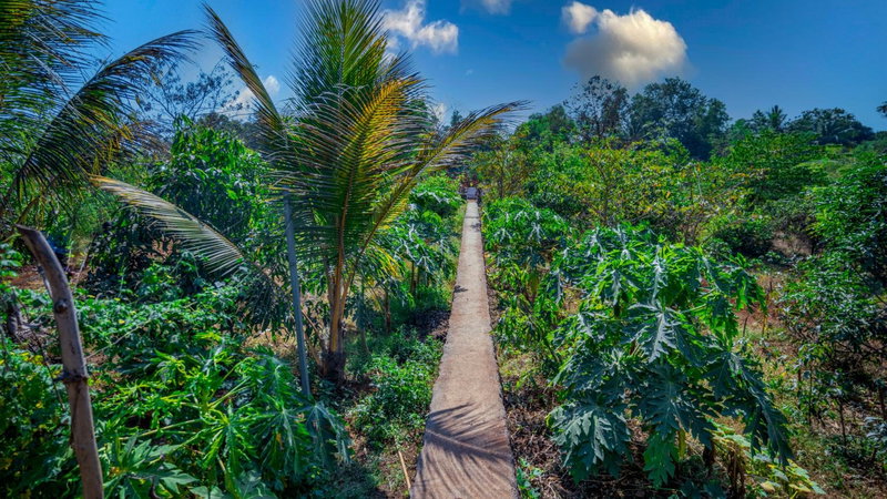 Saveda Farm & Cottages, Karjat, India