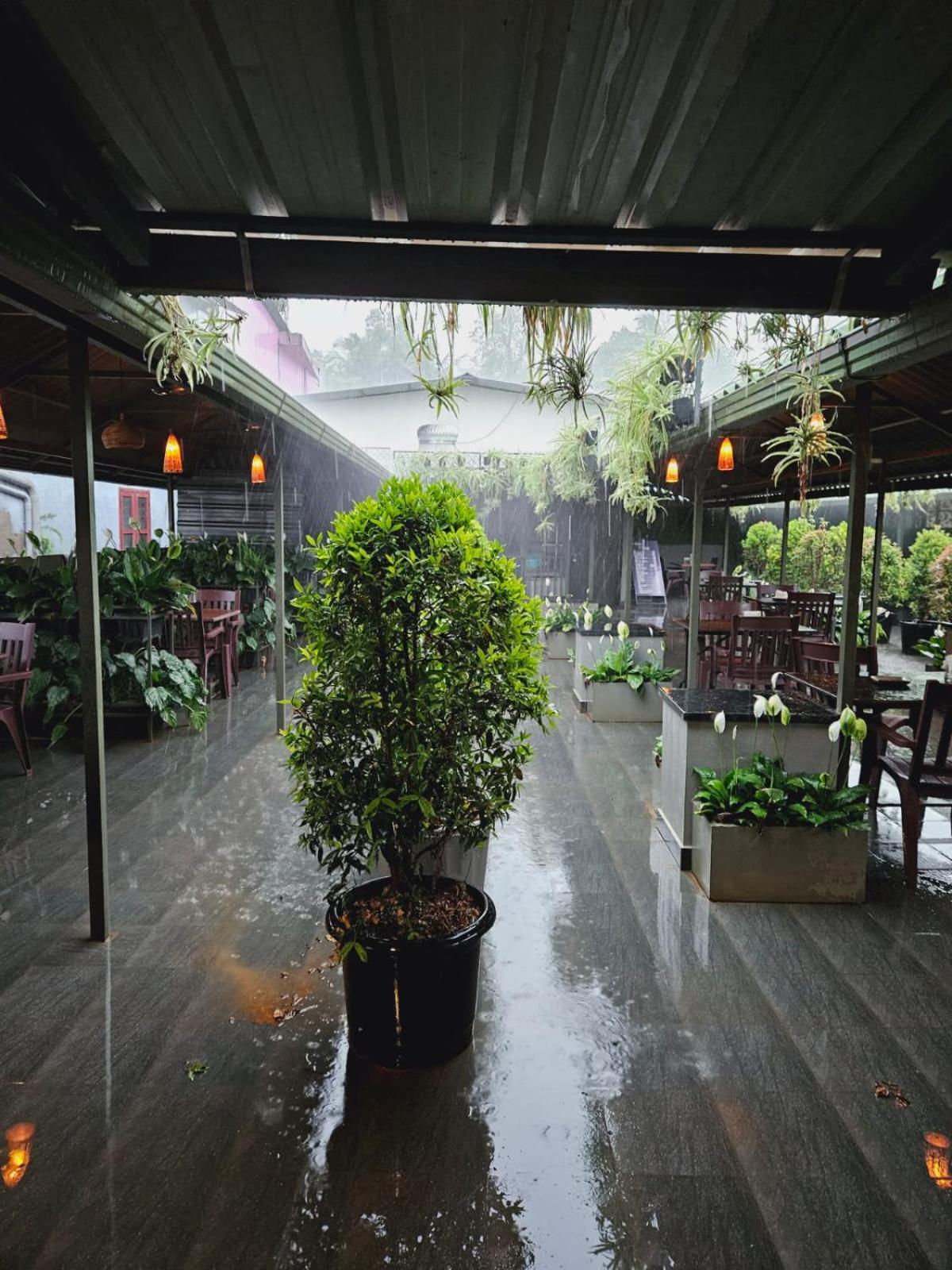 Hotel · Hotel Mayo, Wayanad