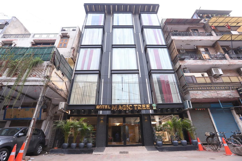 Hotel The Magic Tree - Paharganj New Delhi, New Delhi, India