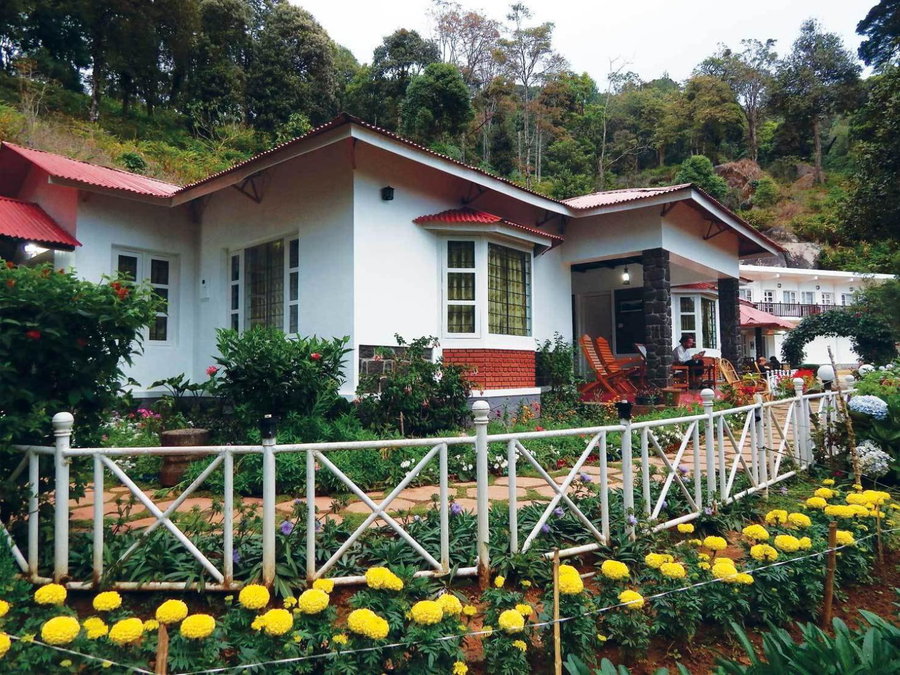 Olive Brook, Munnar, India