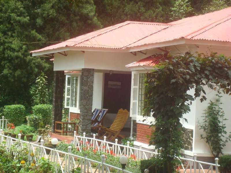 Olive Brook, Munnar, India