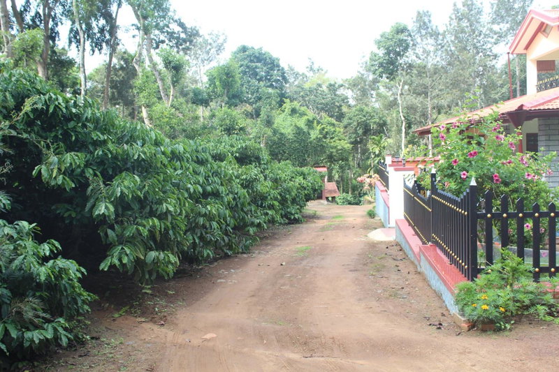 Whistling Woods Farm Stay, Kushālnagar, India