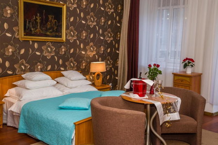 Apartament Kamienica, Płock, Poland