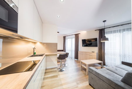 Deluxe Apartment Rakowicka 15 WAWELOFTS, Kraków, Poland