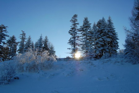 Willa Pod Kasztanami, Piwniczna, Poland