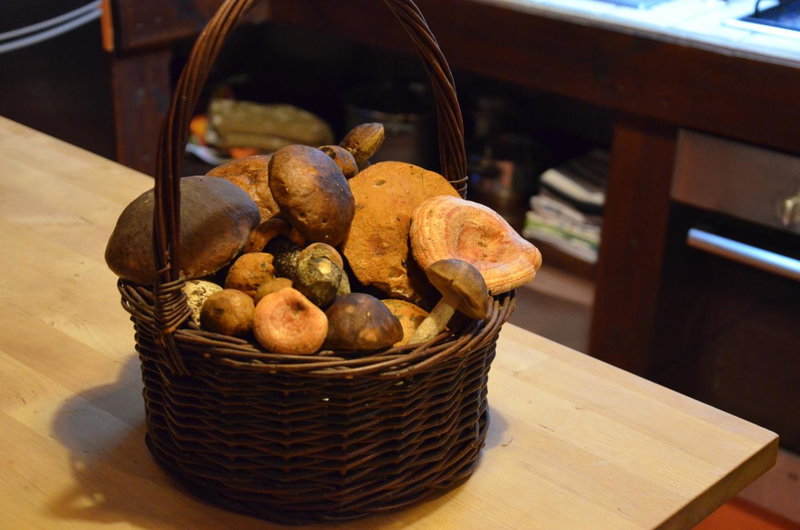 Stara Szkoła w Harszu, Pozezdrze, Poland