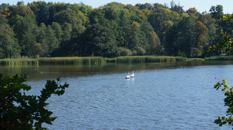 Villa ŁĄGI, Bukowiec, Poland