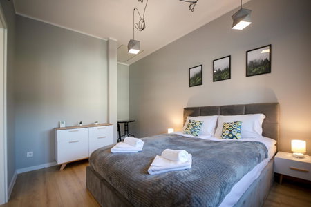 Apartamenty Spokojna z balkonem - Dream Apart, Wisła, Poland
