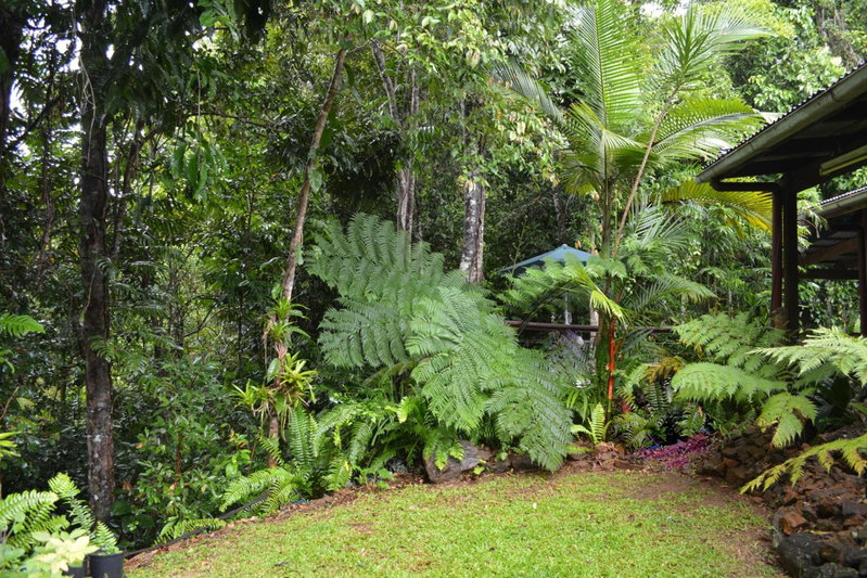 Tropical Bliss bed and breakfast, Mena Creek, Australia