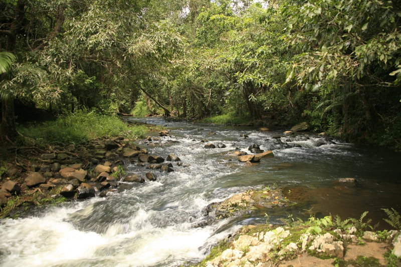 Tropical Bliss bed and breakfast, Mena Creek, Australia