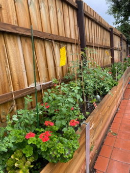 ADA Homestay, Doncaster, Australia