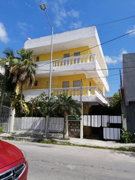 Gaviota, Playa del Carmen, Mexico