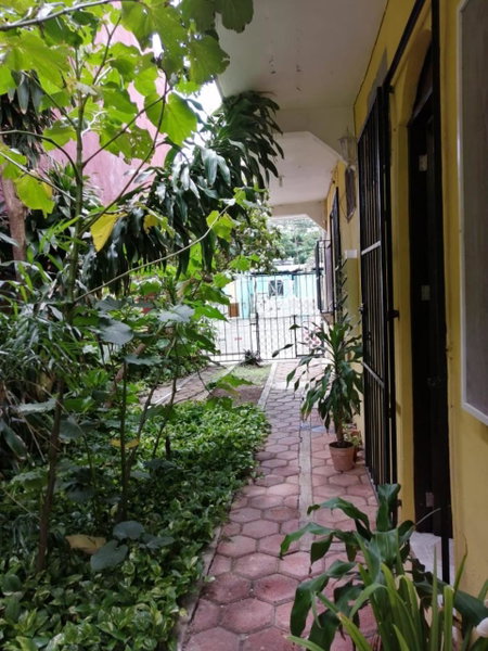 Gaviota, Playa del Carmen, Mexico