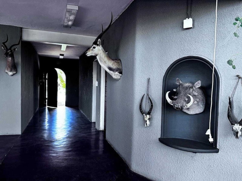 Elsje's Country Inn - Guesthouse, Kempton Park, South Africa