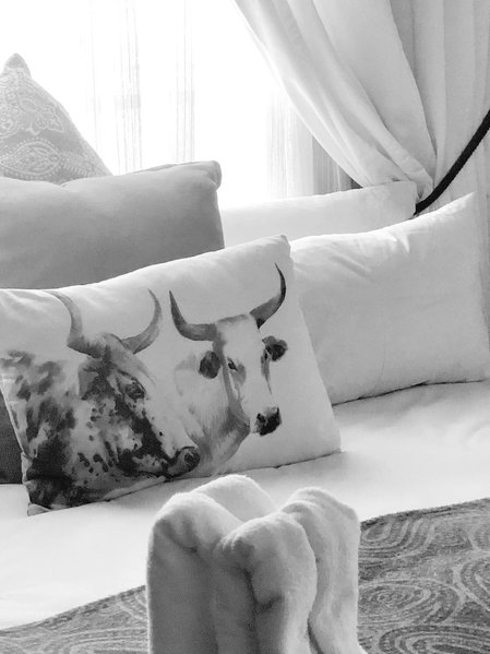 Elsje's Country Inn - Guesthouse, Kempton Park, South Africa