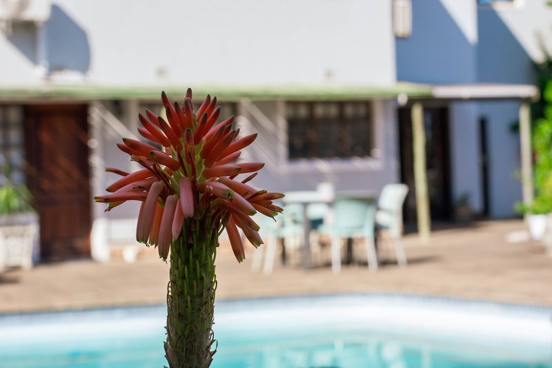 African Sands Bed & Breakfast, aManzimtoti, South Africa