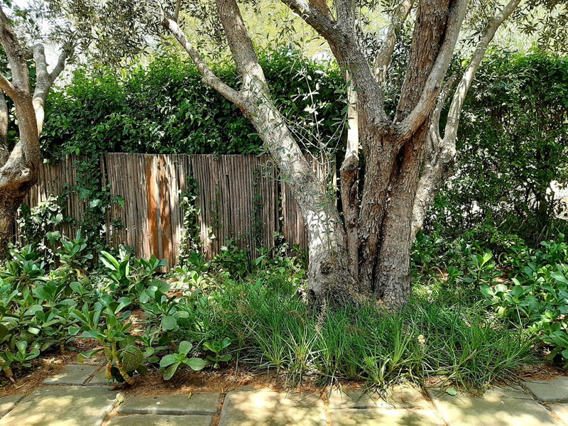 Keerweder-cosy cottage, Riebeek-Wes, South Africa