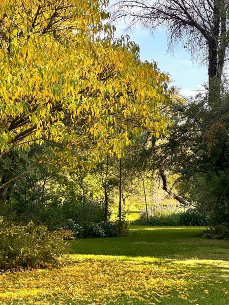 Farm stay at Fennel Cottage on Haldon Estate, Bloemfontein, South Africa