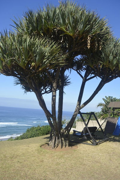 Beach Retreat Guest House, aManzimtoti, South Africa