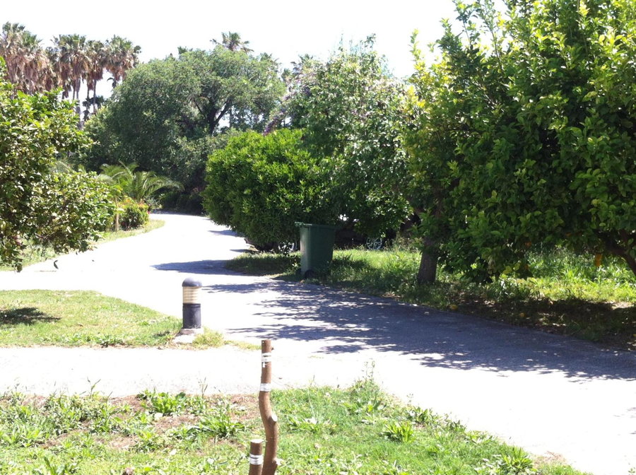 Olgas Paradise Apartments, Kos Town, Greece