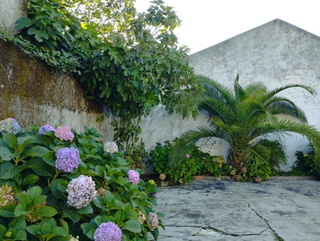 CLE House, Anadia, Portugal