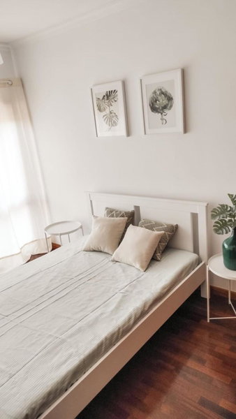 Stay in Villa, Ponte de Lima, Portugal