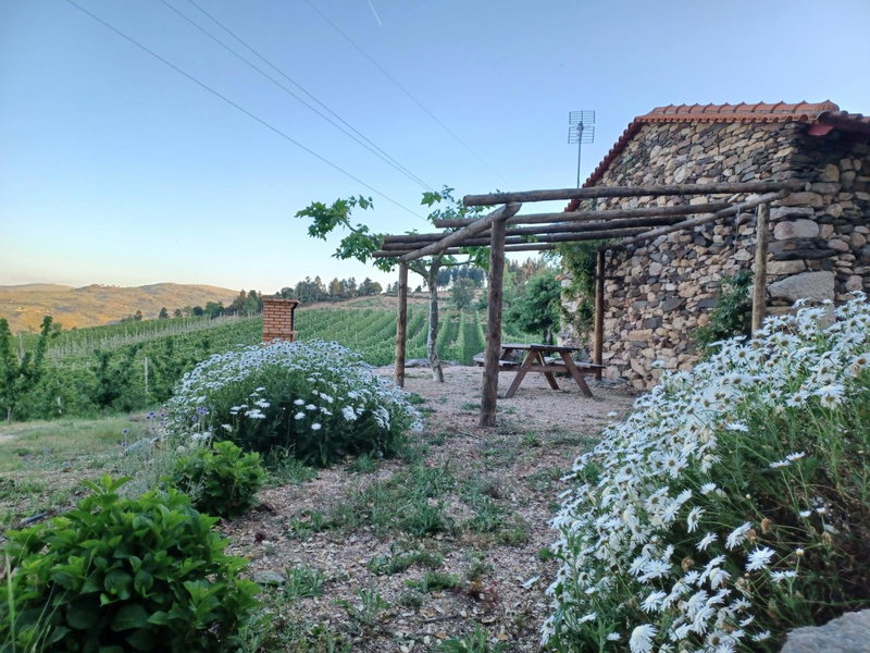 Quinta da Cabrida - Casa do Feitor - Douro, Sendim, Portugal