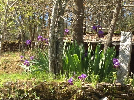 SaberAmar Little Country, Arouca, Portugal