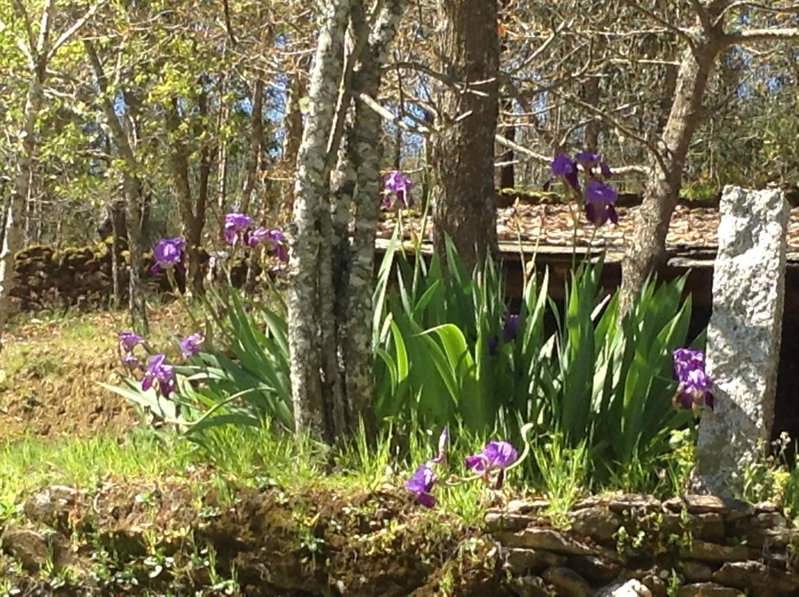 SaberAmar Little Country, Arouca, Portugal