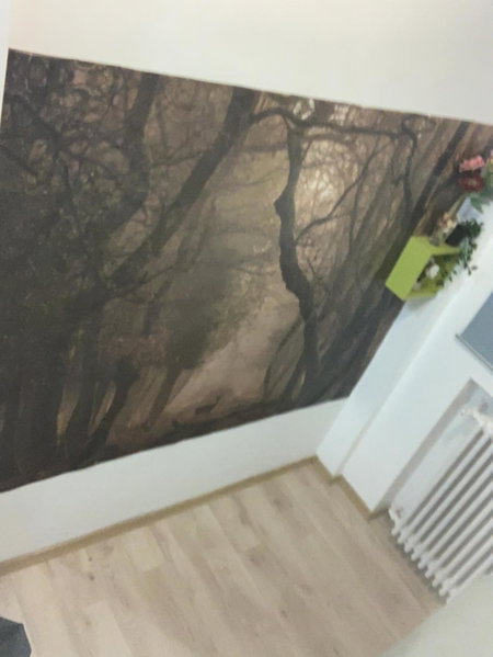 Bucarest B&B, Bucharest, Romania