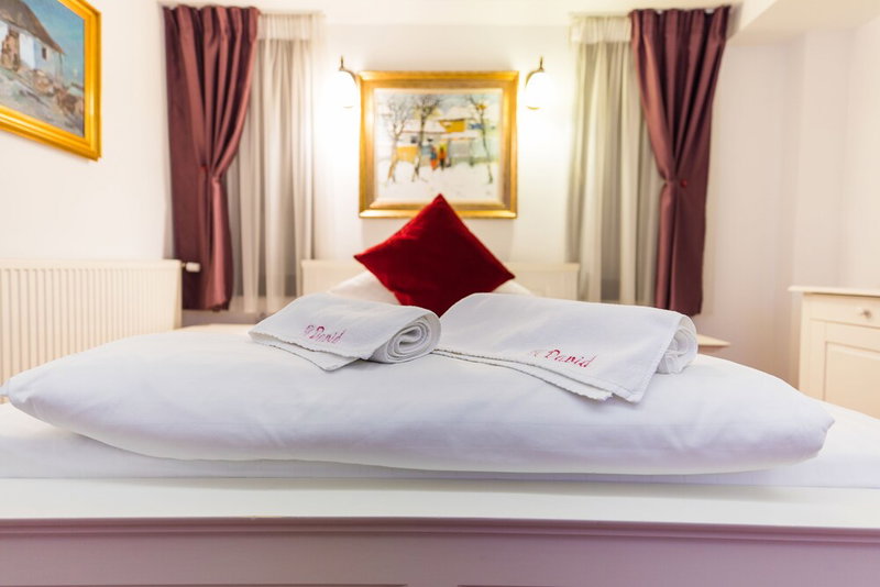 Hotel Casa David, Craiova, Romania