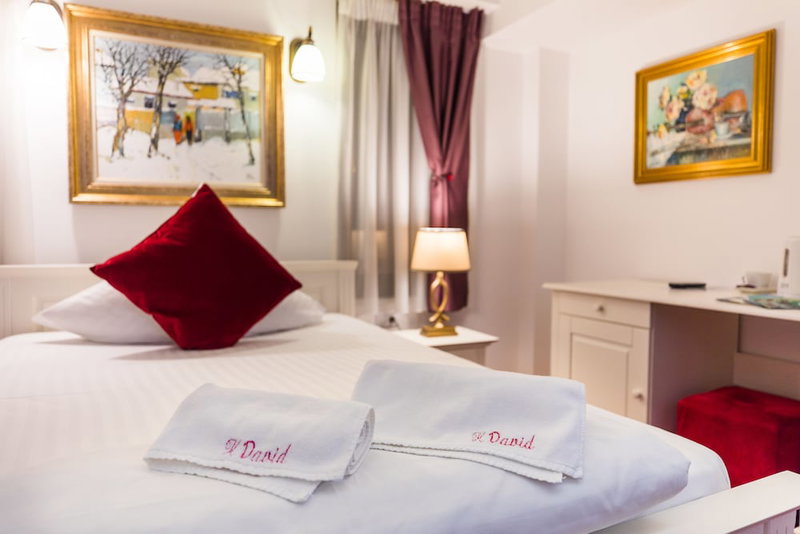 Hotel Casa David, Craiova, Romania